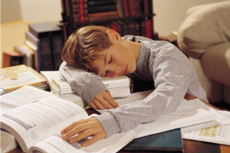 Учёные из Испании определили, сколько времени школьникам лучше тратить на домашнее задание
