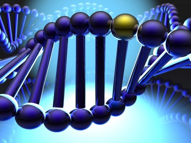 Изменения в ДНК у людей могут привести к смерти — Ученые