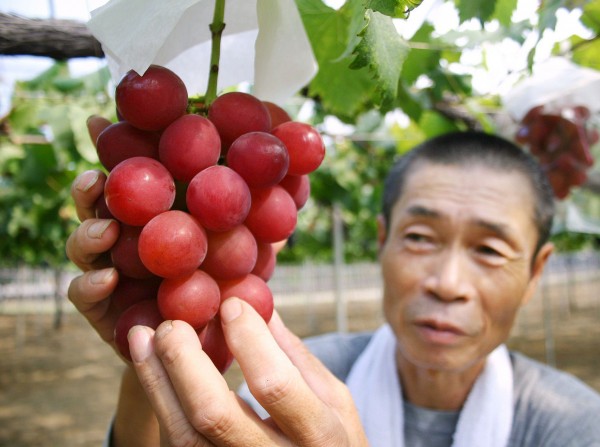 В Японии продана гроздь винограда Ruby Roman за рекордные 8,2 тысячи долларов