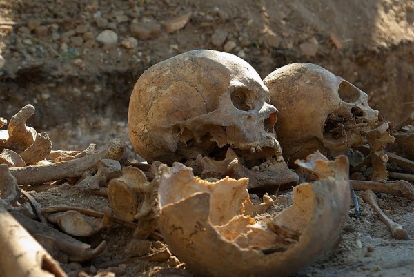 Палеонтологи обнаружили в Танзании кость «гигантского» предка людей