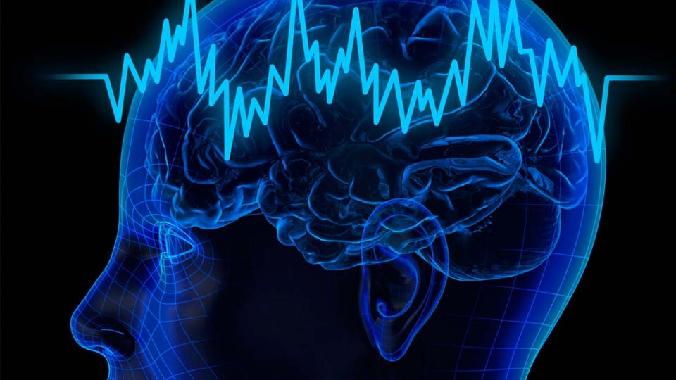 Человека можно идентифицировать по карте сигналов мозга — Ученые