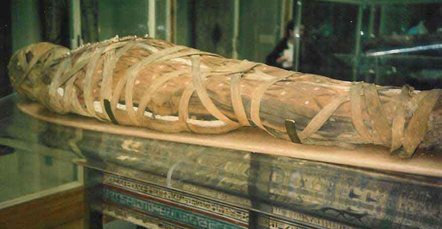 На аукционе в Бельгии обнаружили мумию пропавшую 40 лет назад