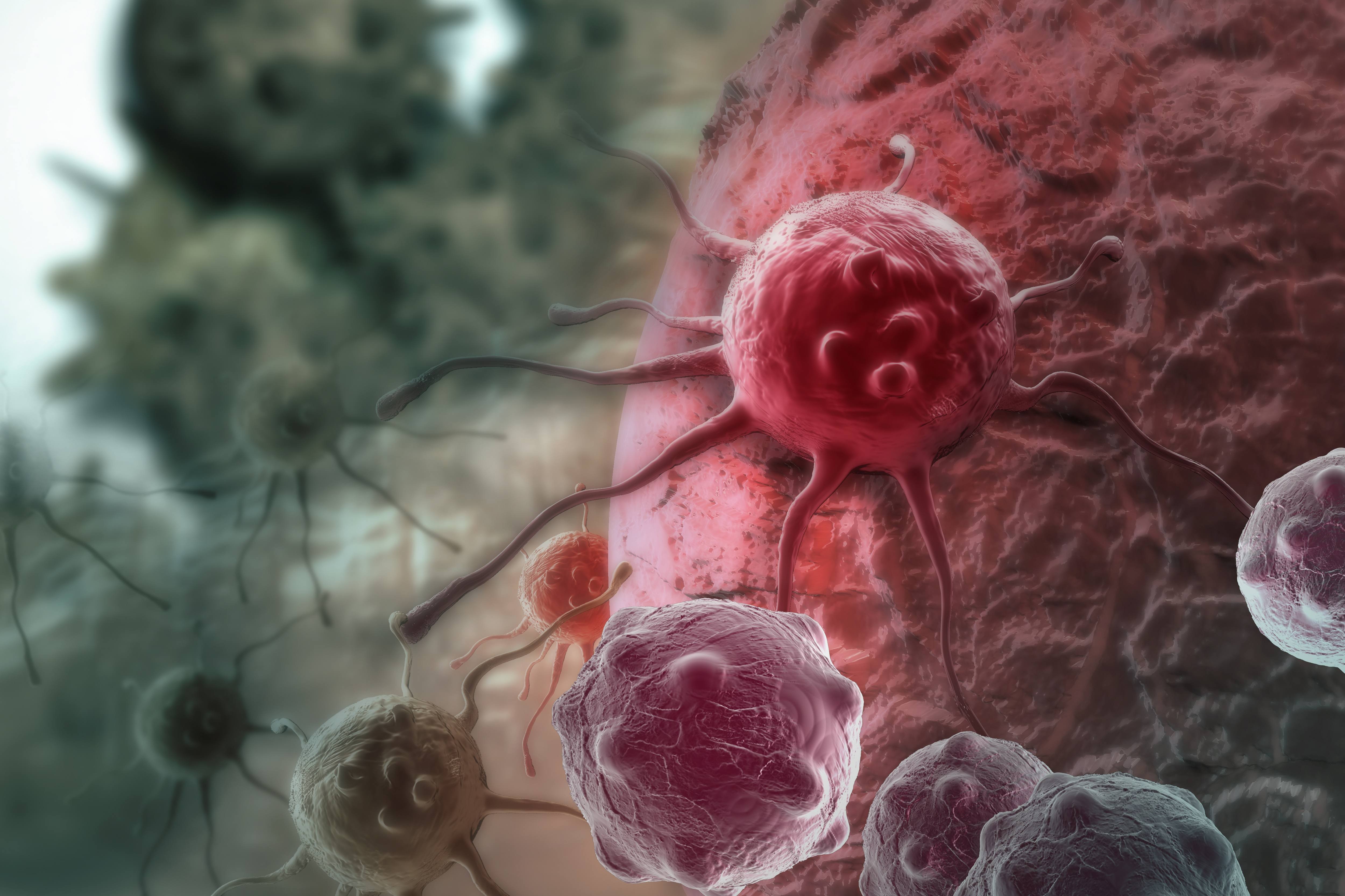 Ученые В 90% люди сами виноваты в развитии раковых опухолей