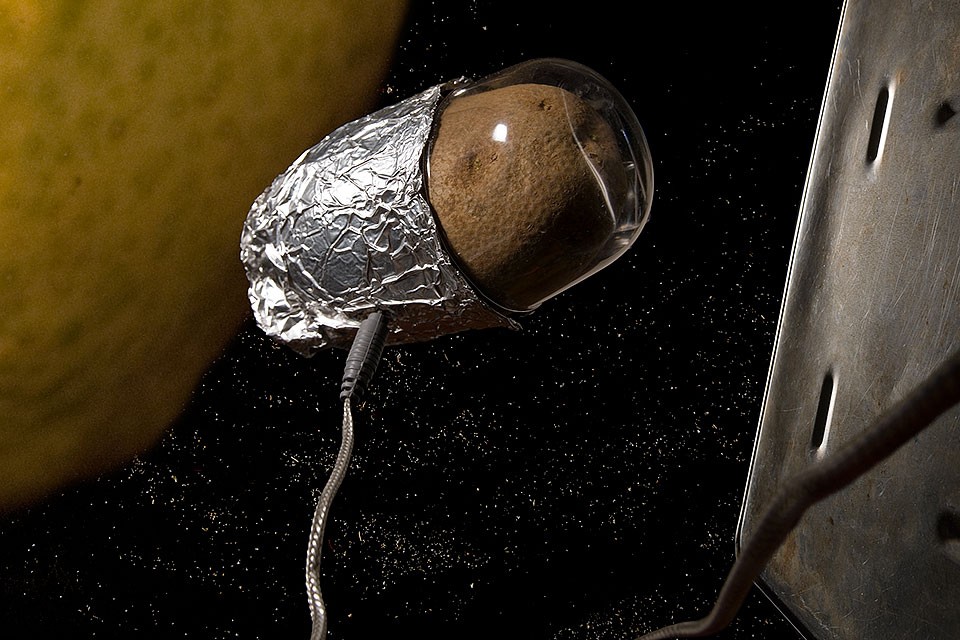 Ученые NASA хотят выращивать картошку на Марсе