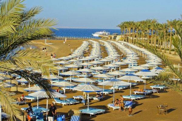 Ростуризм вывез всех туристов из курортов Турции