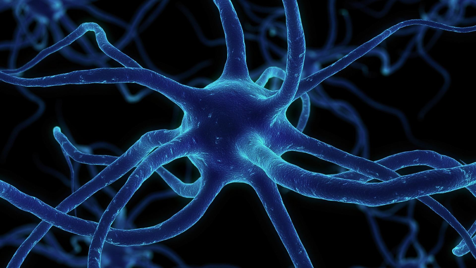 Учёные открыли новый метод восстановления поврежденных нервов