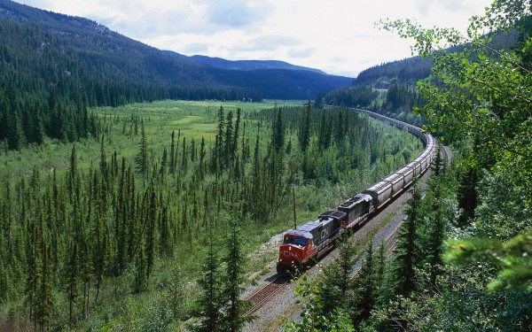 Поезд, отправленный из Украины, потерялся в Казахстане