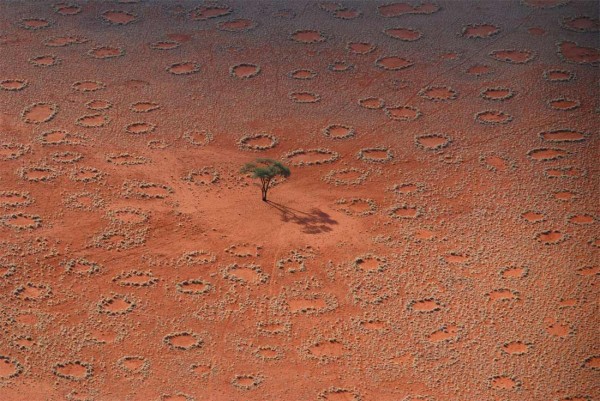 Исследователи объяснили причину возникновения «волшебных кругов» в австралийской пустыне