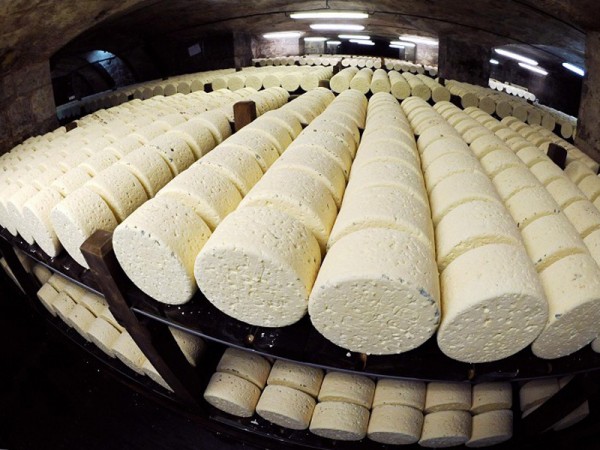 Камамбер. Как произвести легенду сыроварения на собственном заводе?