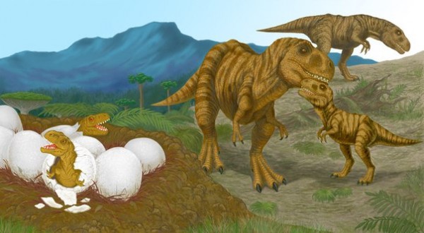 Детеныши Титанозавров развивались почти моментально