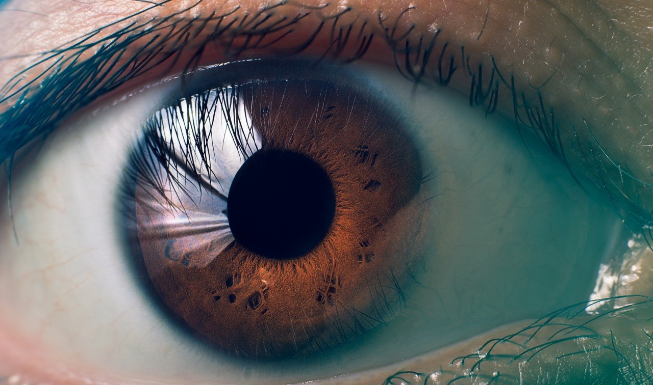 Японские ученые сообщили об успешном выращивании сетчатки глаза