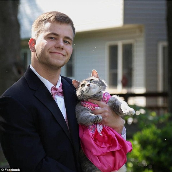Кошка заменила американцу девушку для выпускного бала