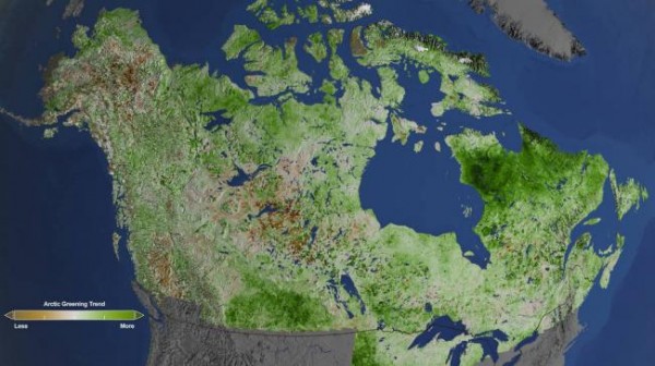 NASA изучает озеленение Арктики
