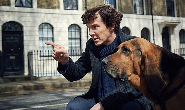 В новом сезоне «Шерлока» появится пес Тоби