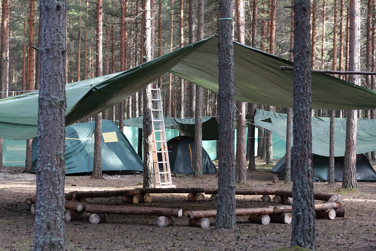 Генпрокуратура Алтая потребовала от главы города Томска закрыть лагерь «Лукоморье»