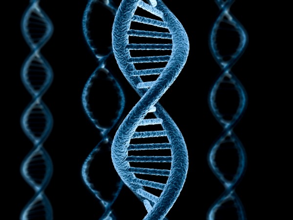 Американские учёные разгадали главный секрет ДНК