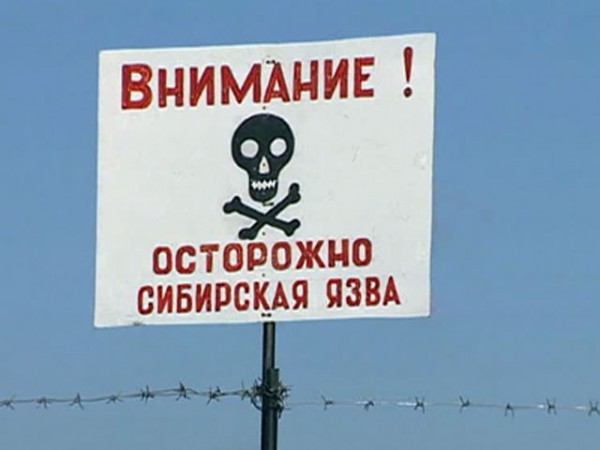 На Ямал перебросили военный комплекс дезинфекции "Орлан" для борьбы с сибирской язвой