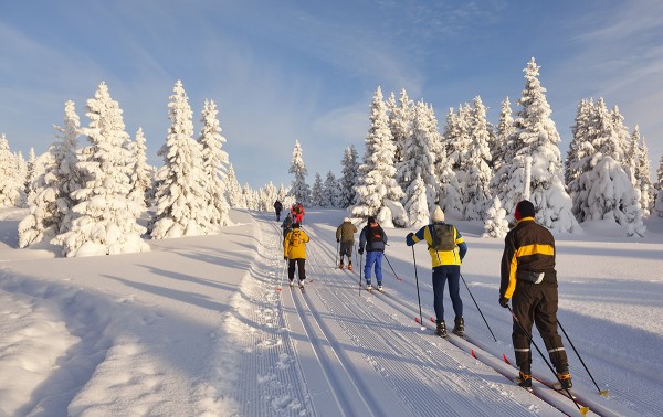 Лыжникам Норвегии назначили препараты от астмы перед соревнованиями