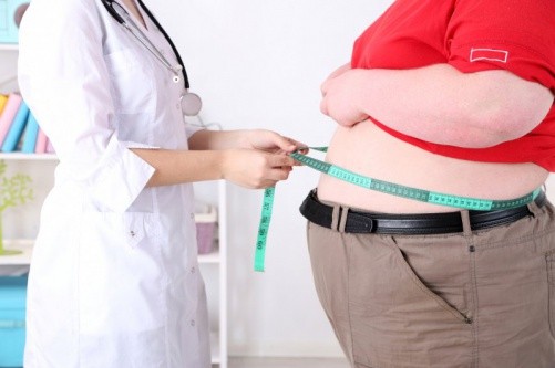 Учёные Кишечные бактерии являются причиной ожирения