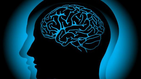 Ученые: Мозг запоминает информацию не удаляя при этом старую