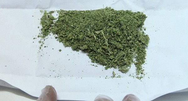 Житель Ставрополя хранил более 6 кг марихуаны на приусадебном участке