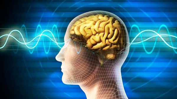 Ученые создали нейрочип для фиксирования активности головного мозга