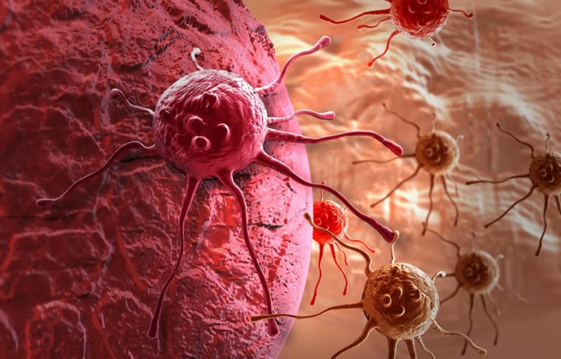 Раковые клетки могут быть устойчивыми к химиотерапии