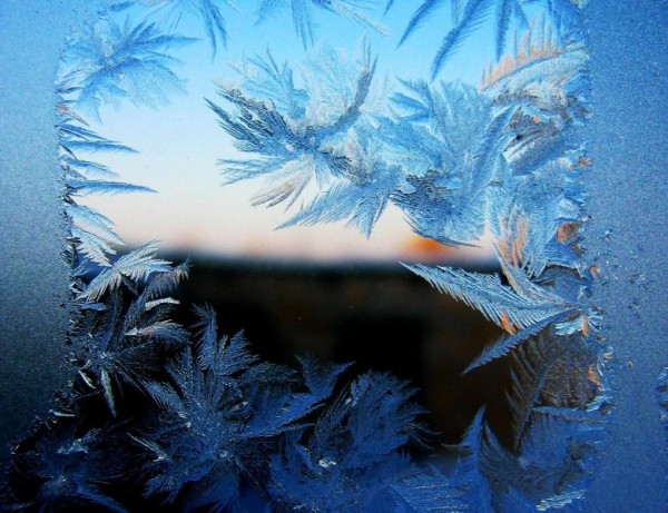 В середине ноября в Москве прогнозируют мороз до -12 градусов С