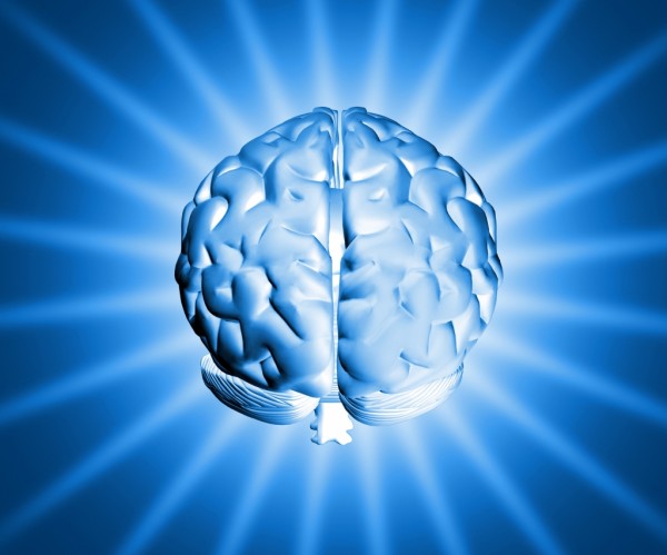 Ученые определили участок головного мозга, который вызывает кому