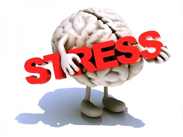 Стресс вызывает структурные изменения головного мозга