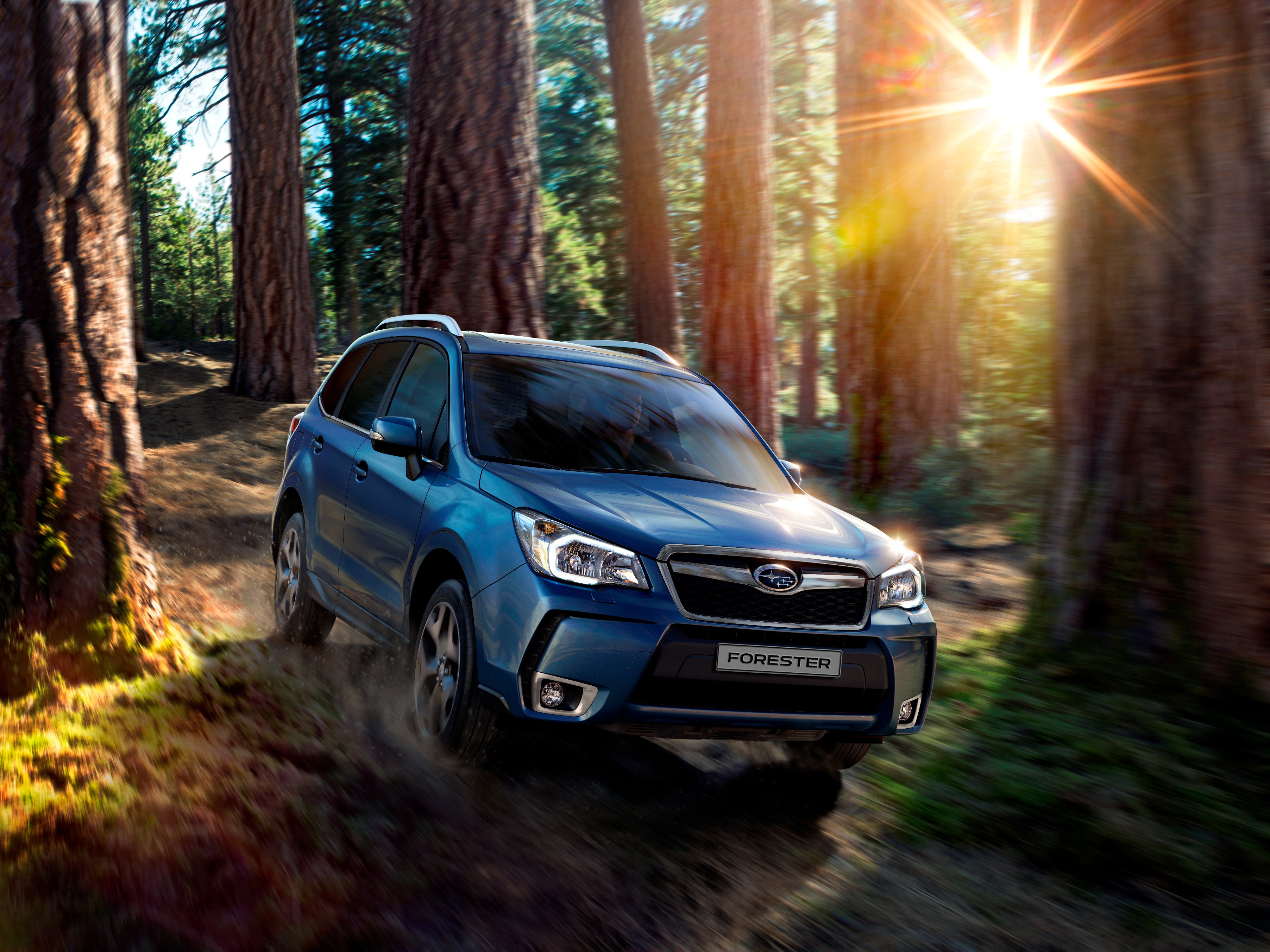 Продажи Subaru в России в сентябре упали на 53