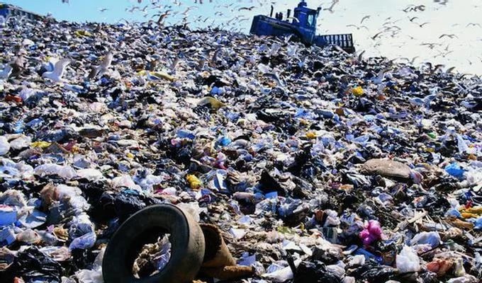 Рязанская область угодила в число проблемных регионов по мусору