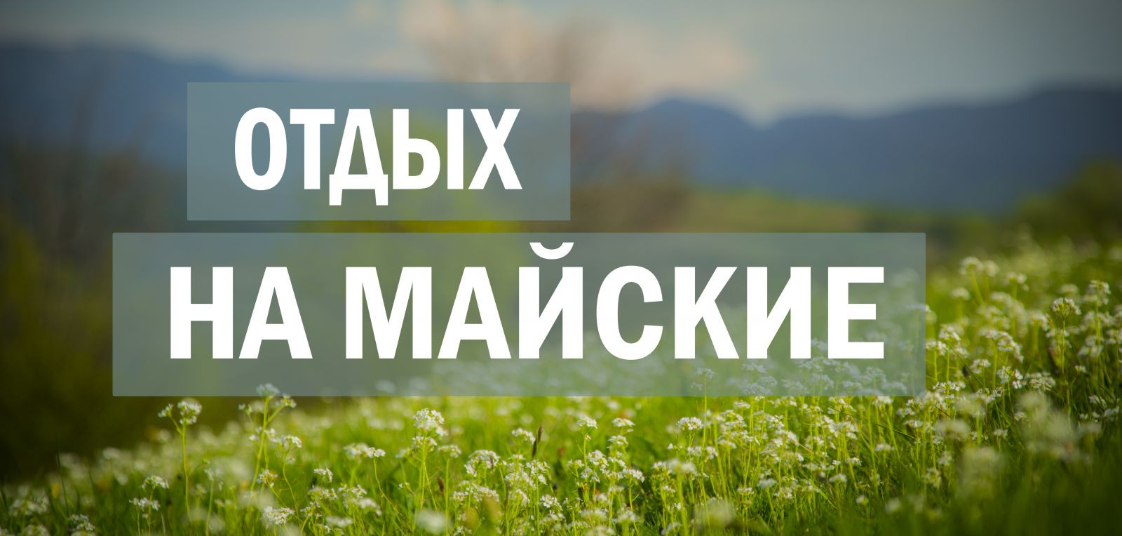Правительство России обнародовало расписание выходных на майские праздники в 2019 году