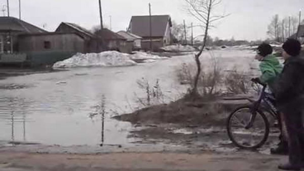 В Алтайском крае талые воды подтопили десятки домов
