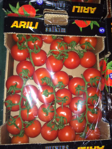 Россия не планирует открывать свой рынок для турецких помидоров