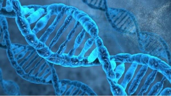 Учёные разработали новый метод анализа функции гена