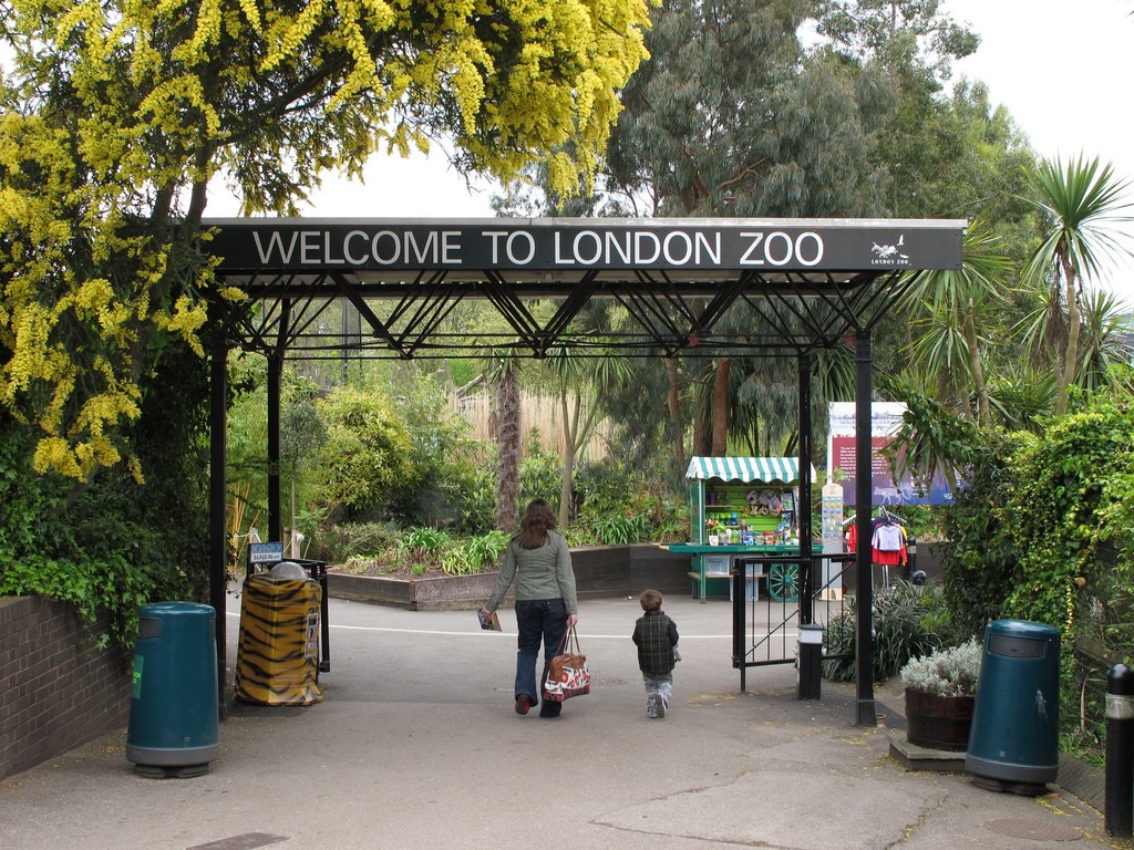 Зоопарк Лондона закрыт из-за пожара