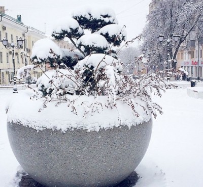 Жители Белгорода массово публикуют выпавший снег в Instagram