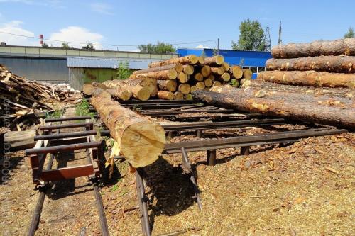 В Нижегородской области владельца пилорамы убило брёвнами