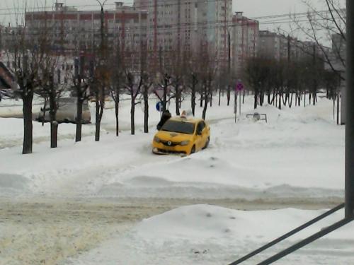 В Воронеже ищут нового хозяина для «автомобиля-потеряшки»