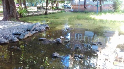 Жители Владикавказа жалуются на болото возле дома