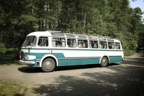 Воронежцы показали, какими видят автобусы после повышения цен