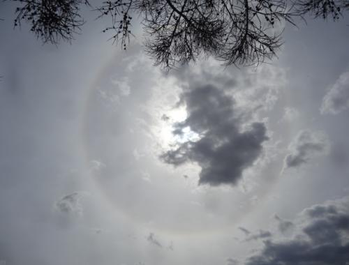 Вид из Боровичей: Вокруг Солнца появился венец