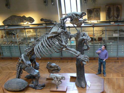 Ученые рассказали о смертельной схватке древних людей и гигантского ленивца