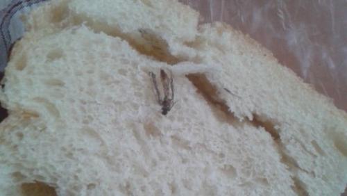 В Воронежской области пекут хлеб с комарами