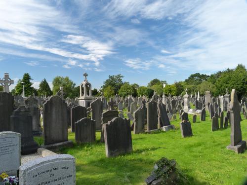 Путешественника из Камышина удивили могилы на кладбищах Брянска