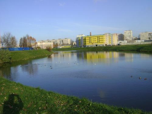 Новая река в Петербурге затянулась грязью и стала издавать вонь