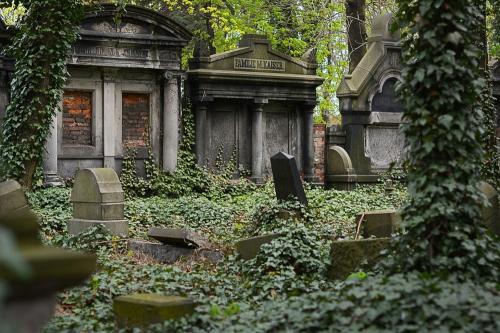 В Германии в лотерее можно выиграть место на старинном кладбище