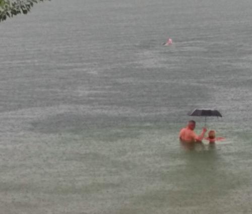 Брянские купальщики с зонтом довели до истерики пользователей сети