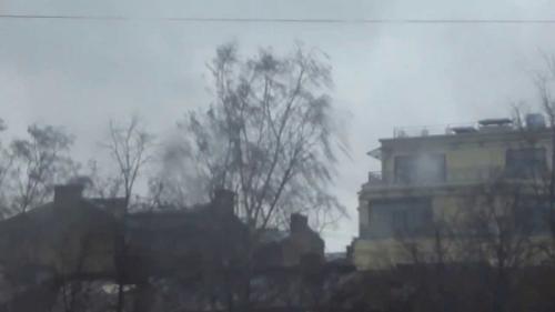 «Буйство урагана»: В Петербурге стихия повалила дорожные знаки и деревья